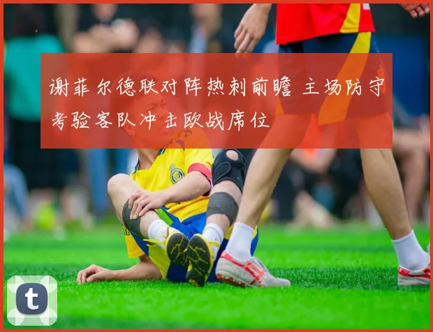 谢菲尔德联对阵热刺前瞻 主场防守考验客队冲击欧战席位