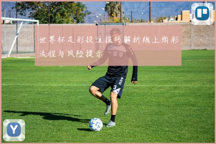 世界杯足彩投注技巧解析线上购彩流程与风险提示